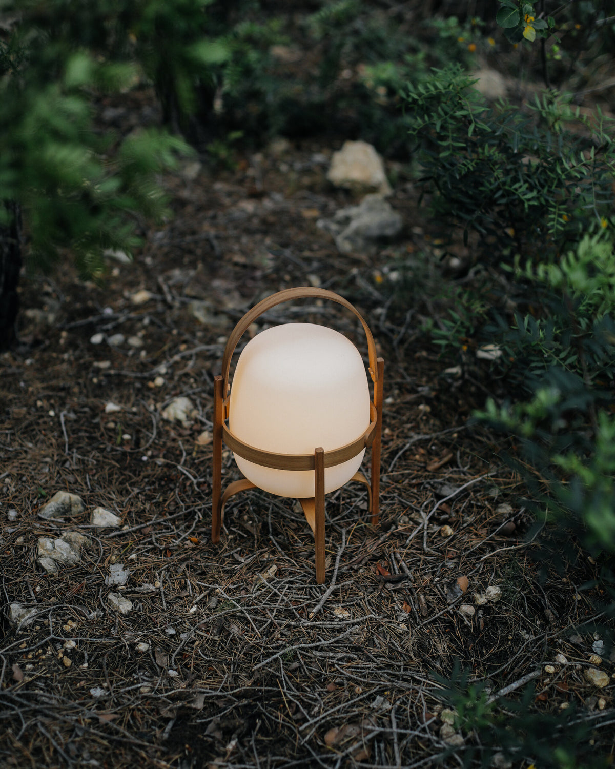 Cestita Batería portable lamp on the ground outdoors among fallen leaves